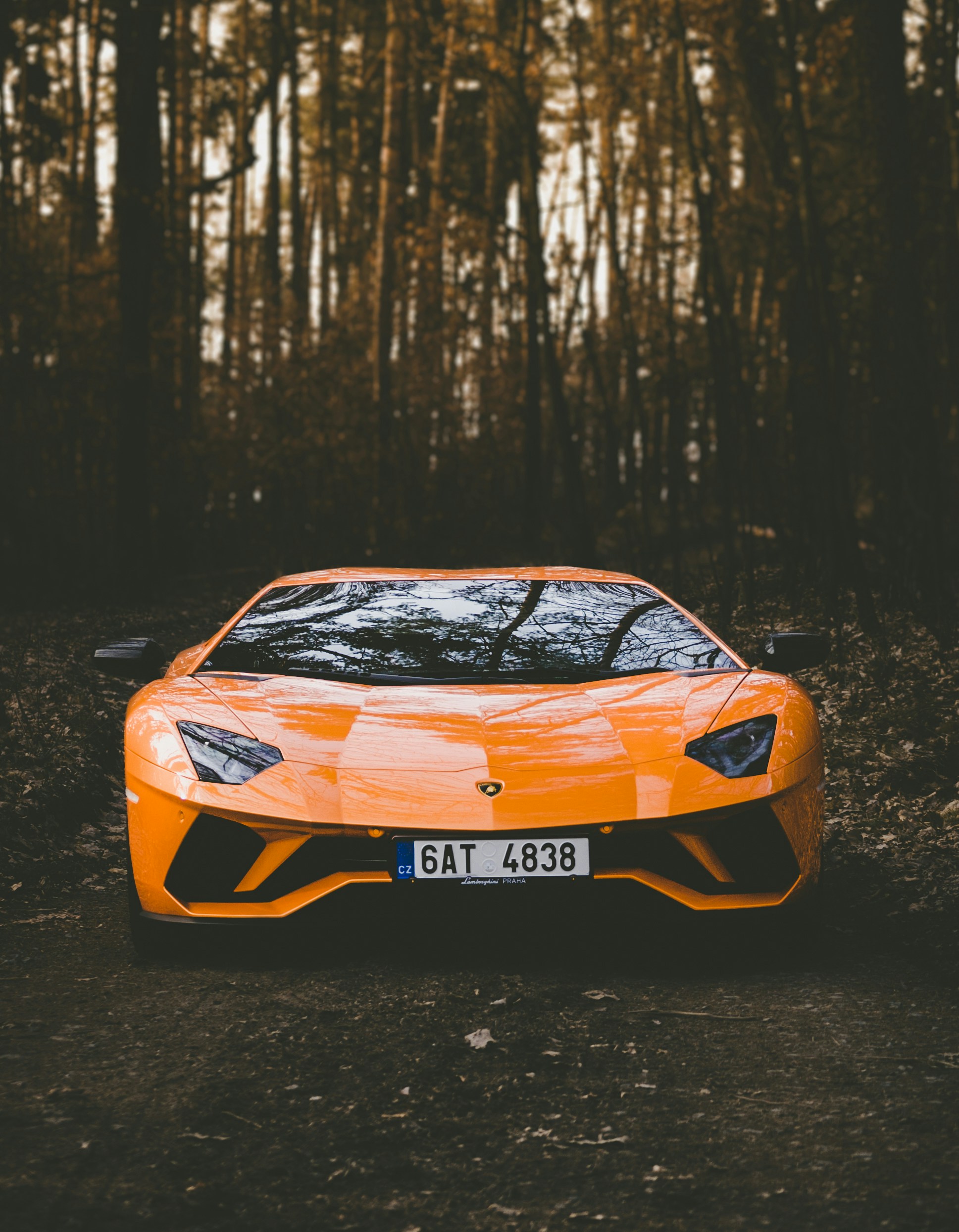 Lamborghini naranja en carretera forestal